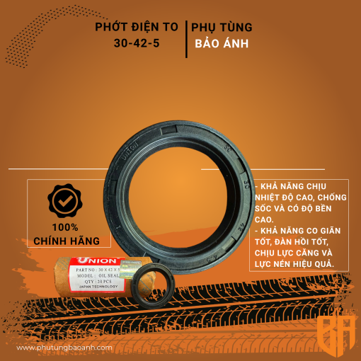 phớt điện to