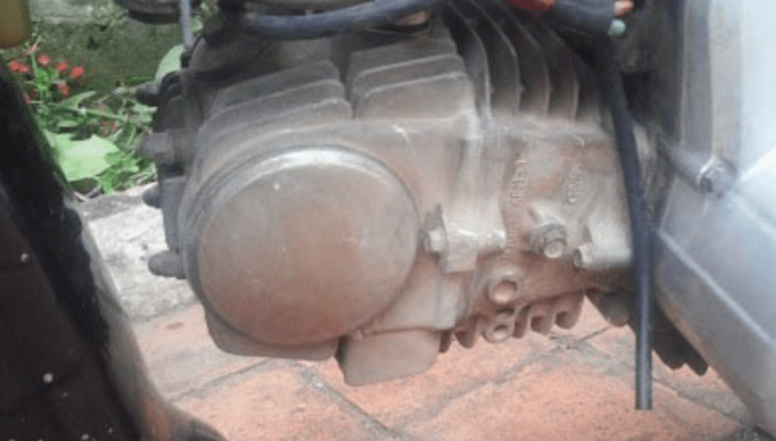 đầu bò xe máy